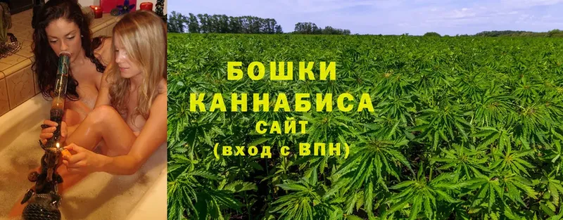 закладка  Орехово-Зуево  Бошки Шишки SATIVA & INDICA 